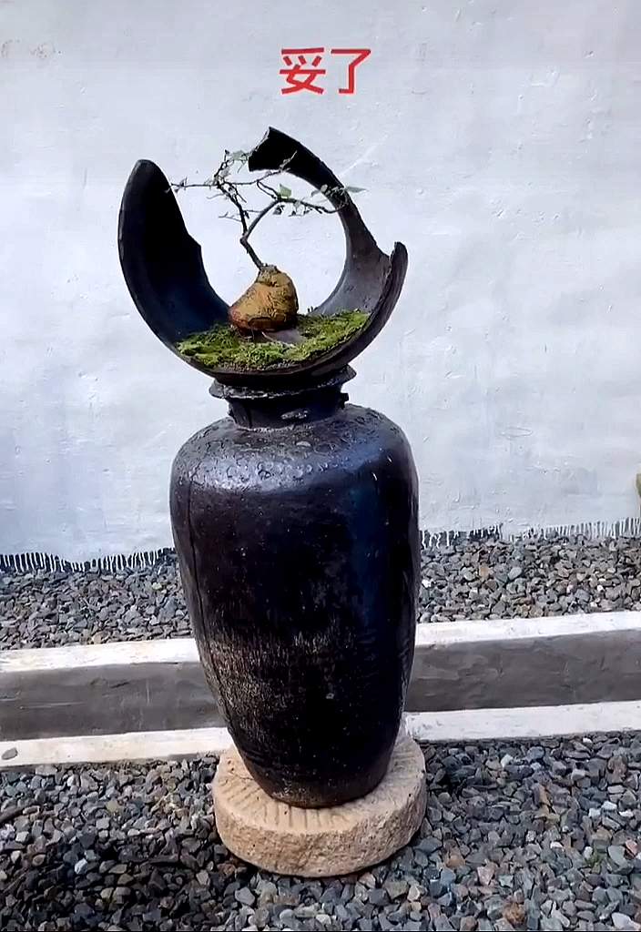 河边捡到一个残旧的瓦罐,经过加工最后成了我的花盆.-度小视