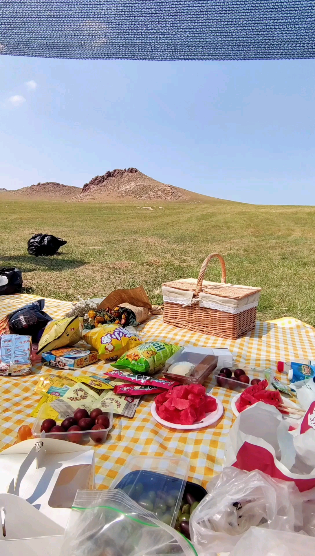 野餐#来草原野餐呀,带走垃圾就行!
