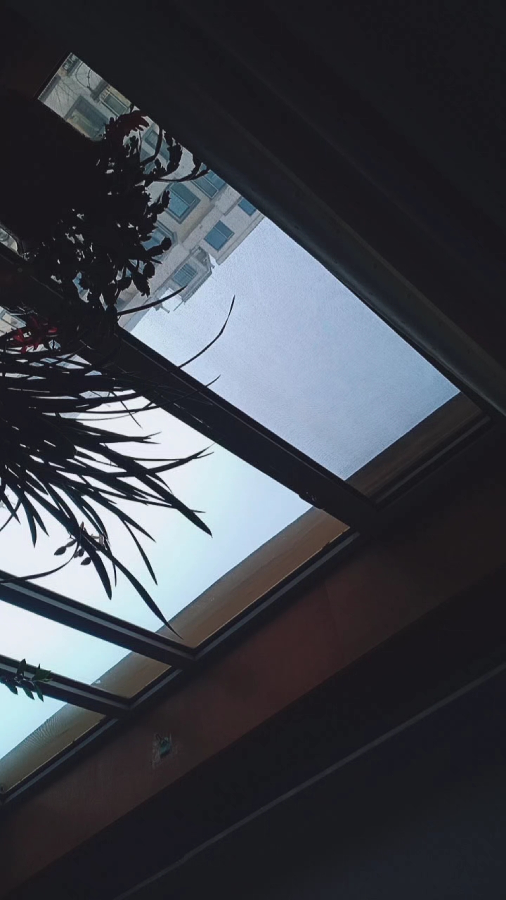 过好冬天#窗户的一角