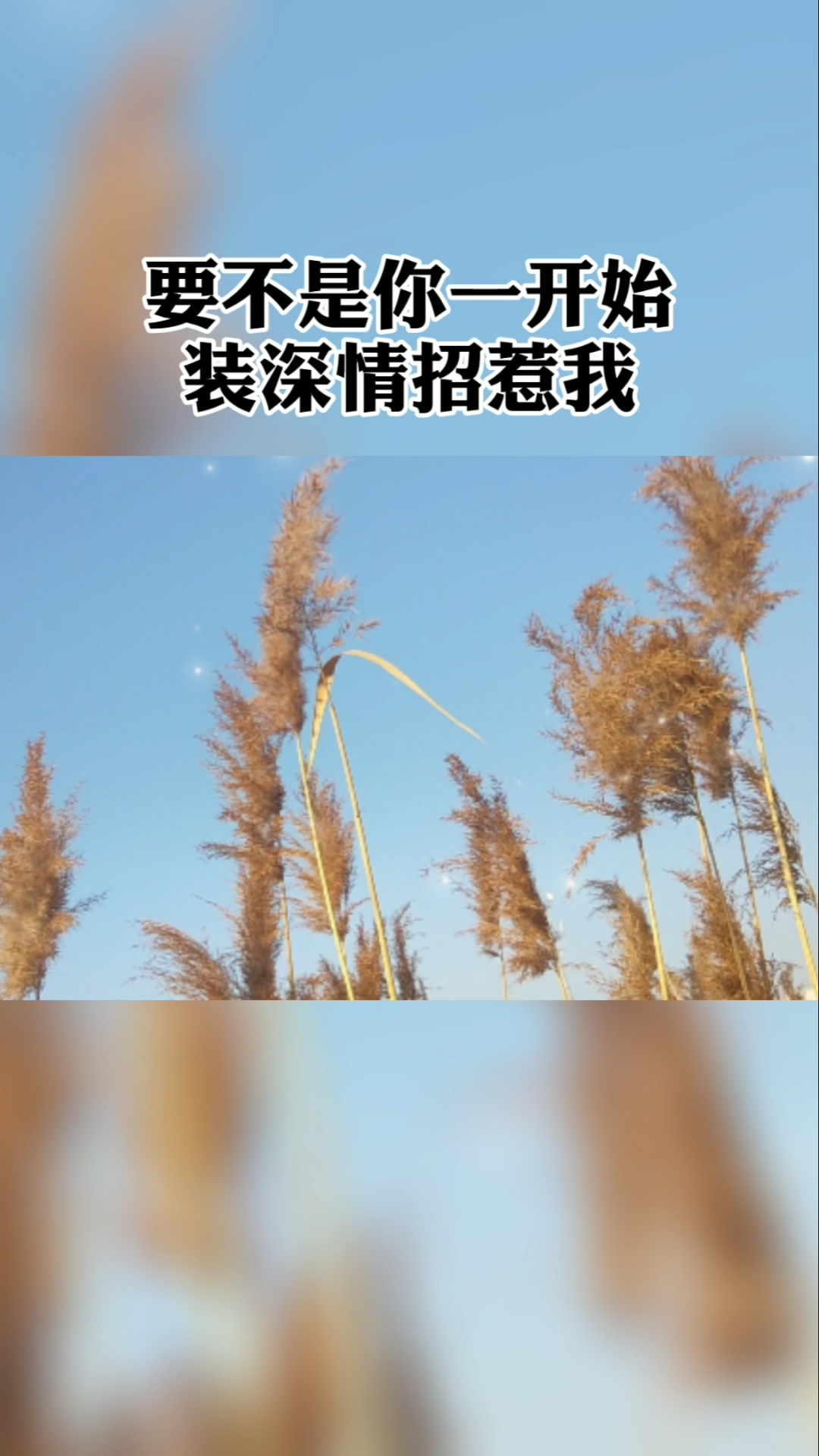 情感故事#要不是你一开始装深情招惹我