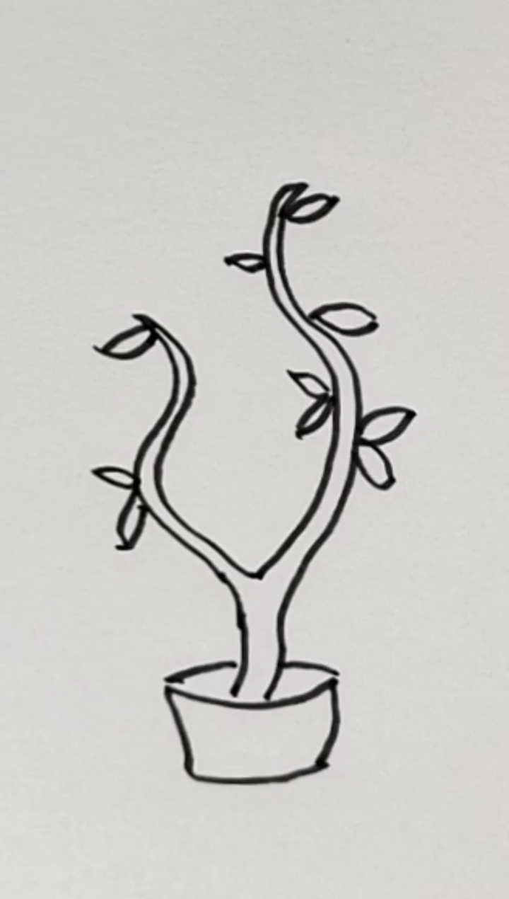 简笔画#画一棵生机勃勃小树苗