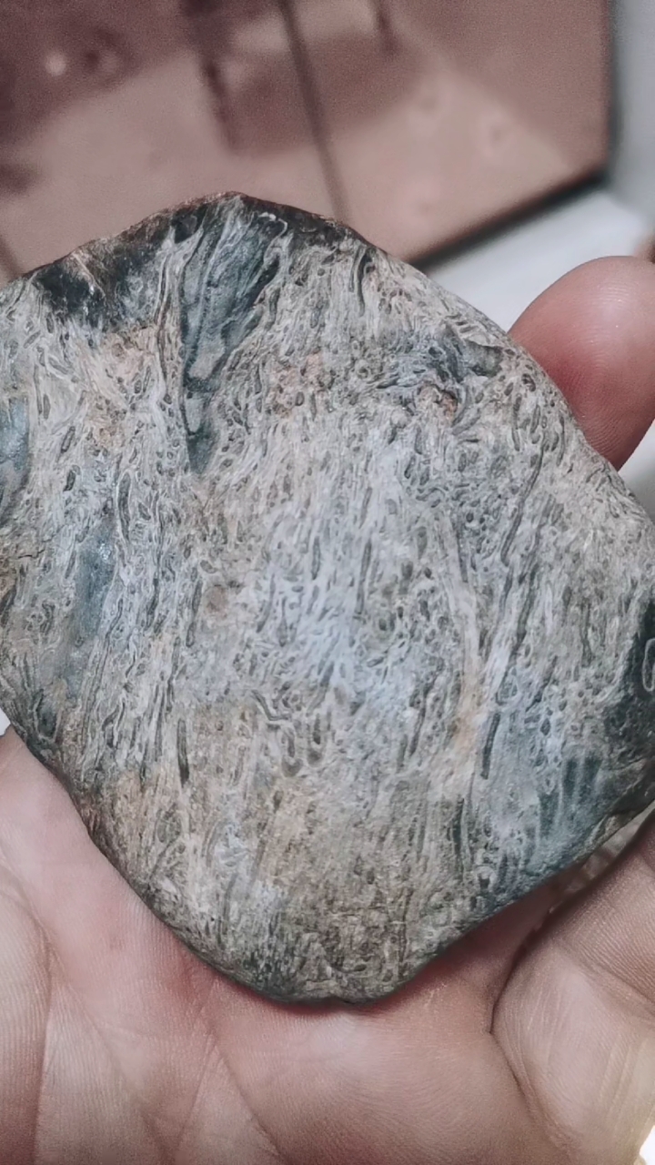 黑龙江桫椤玉#黑龙江桫椤玉化石,大叶草手玩石案头石