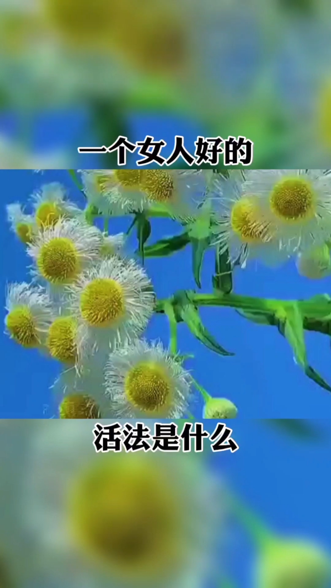 全民正能量#一个女人最好的活法是什么