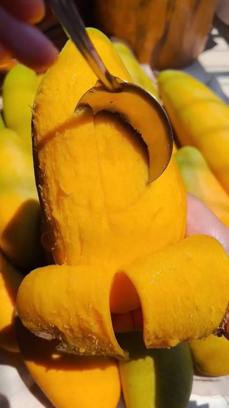 金煌芒核小皮薄肉厚甜度超标-度小视