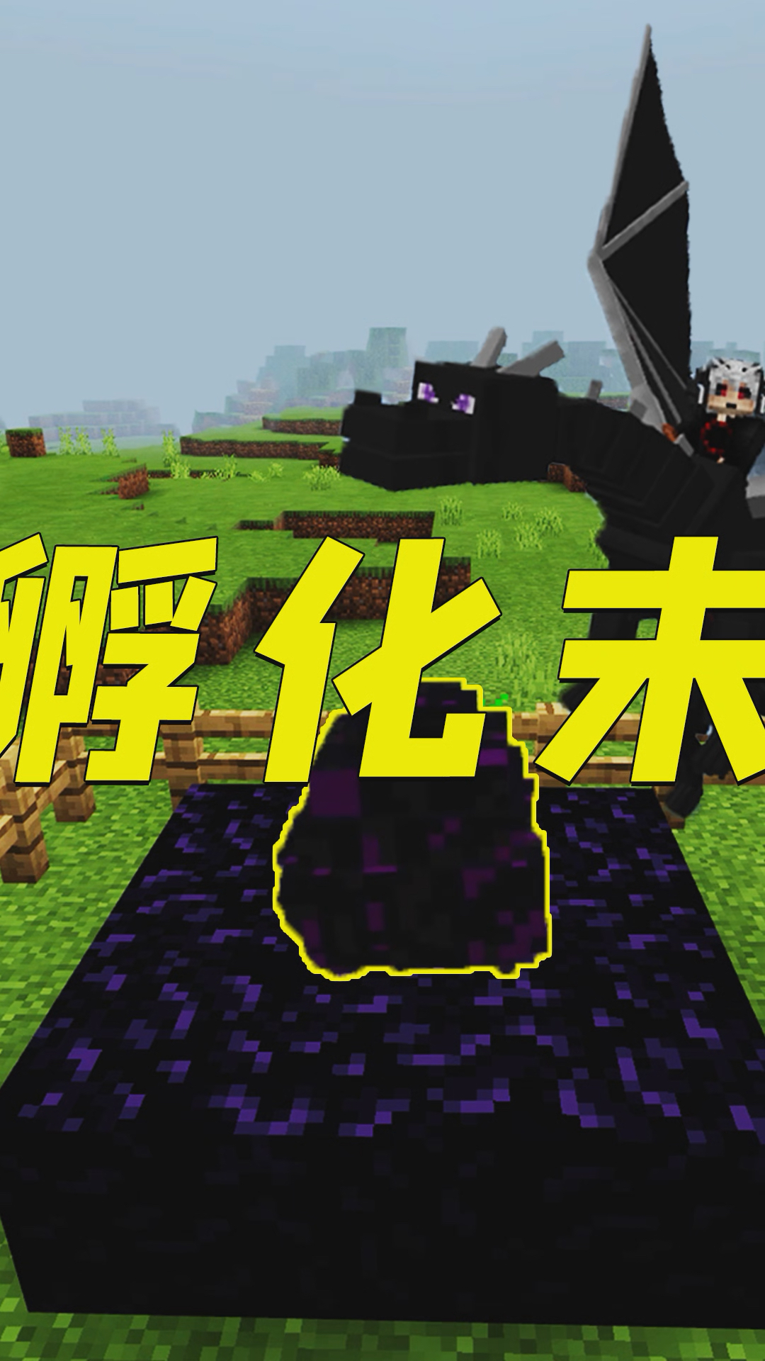 我的世界:成功孵化末影龙!穿上龙铠甲,这也太酷了!-2