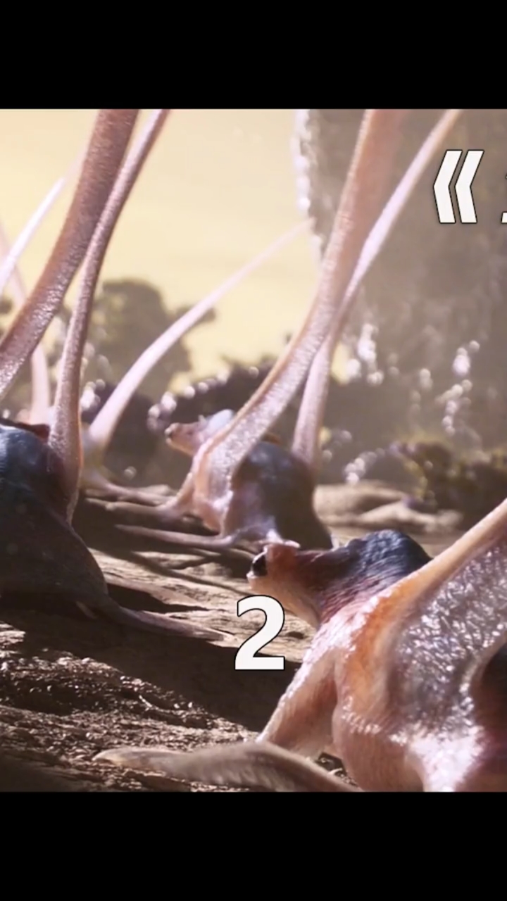 精彩影视#《外星世界》神奇动物在哪里?我们到外星去看看!