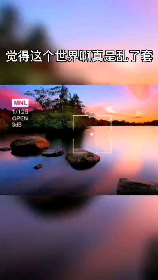 真真假假,假假真真,社会很单纯,复杂的是人.