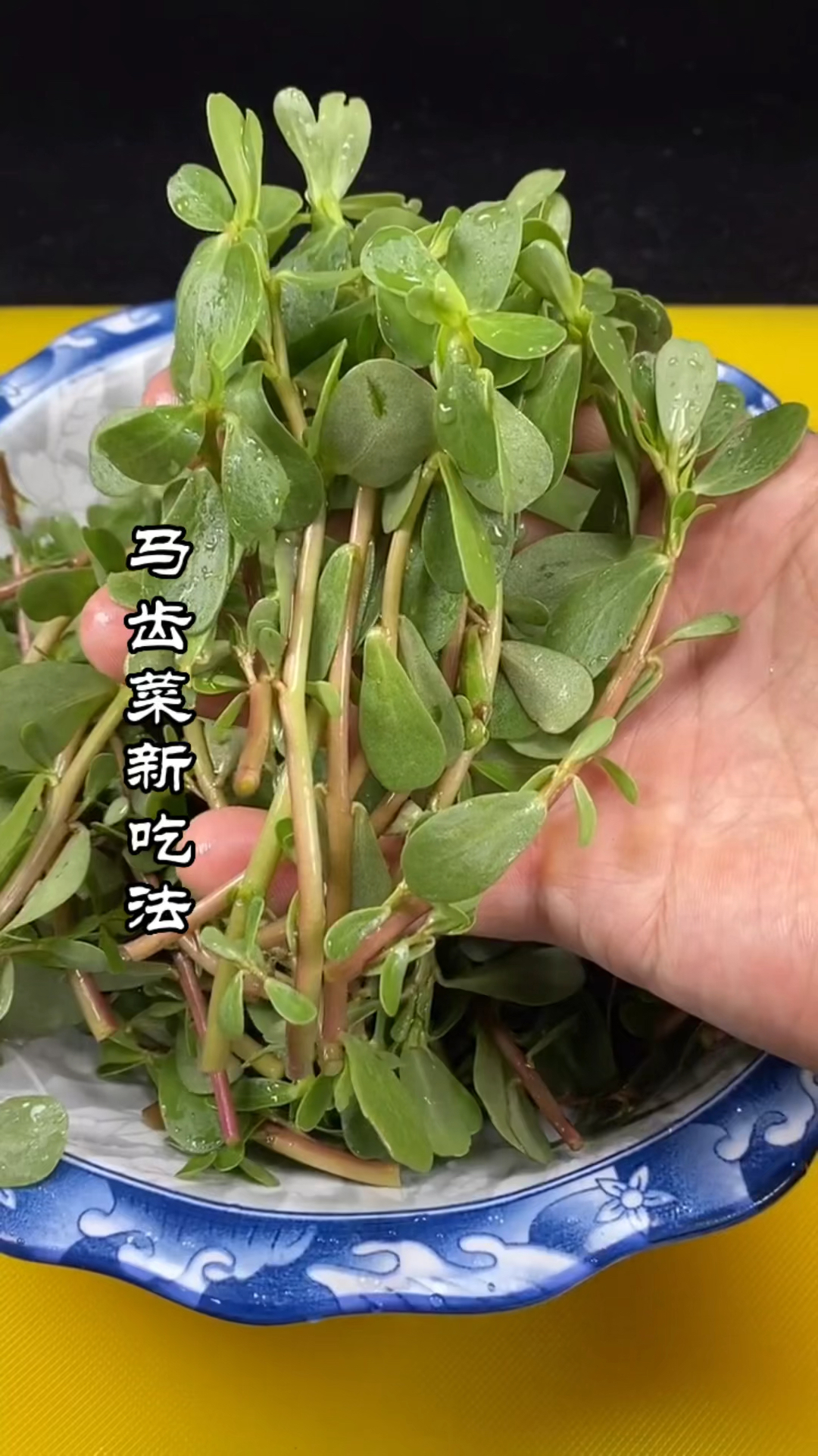 爱美食爱生活#马齿菜新吃法