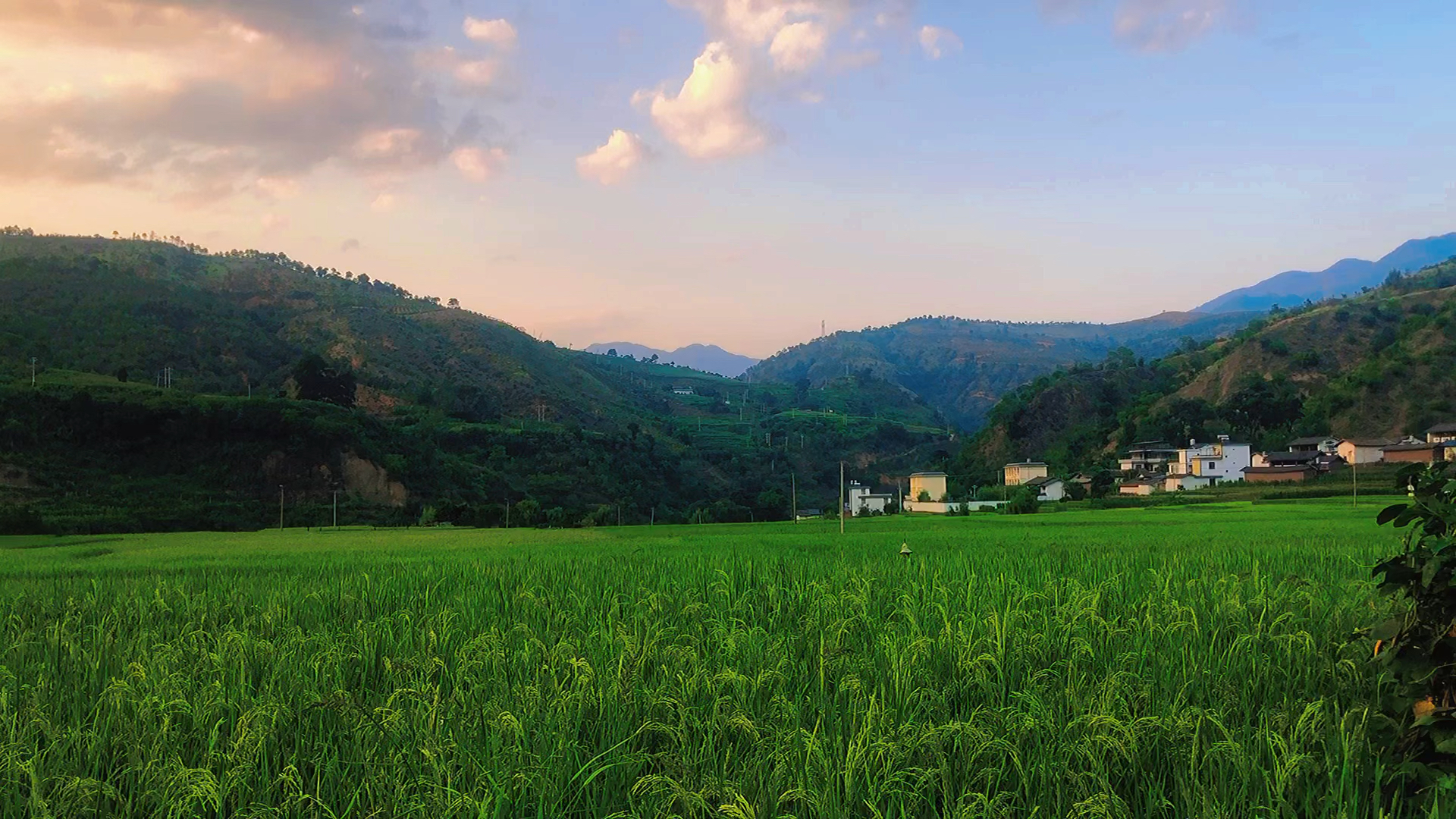 乡村的曰常生活#农村的傍晚