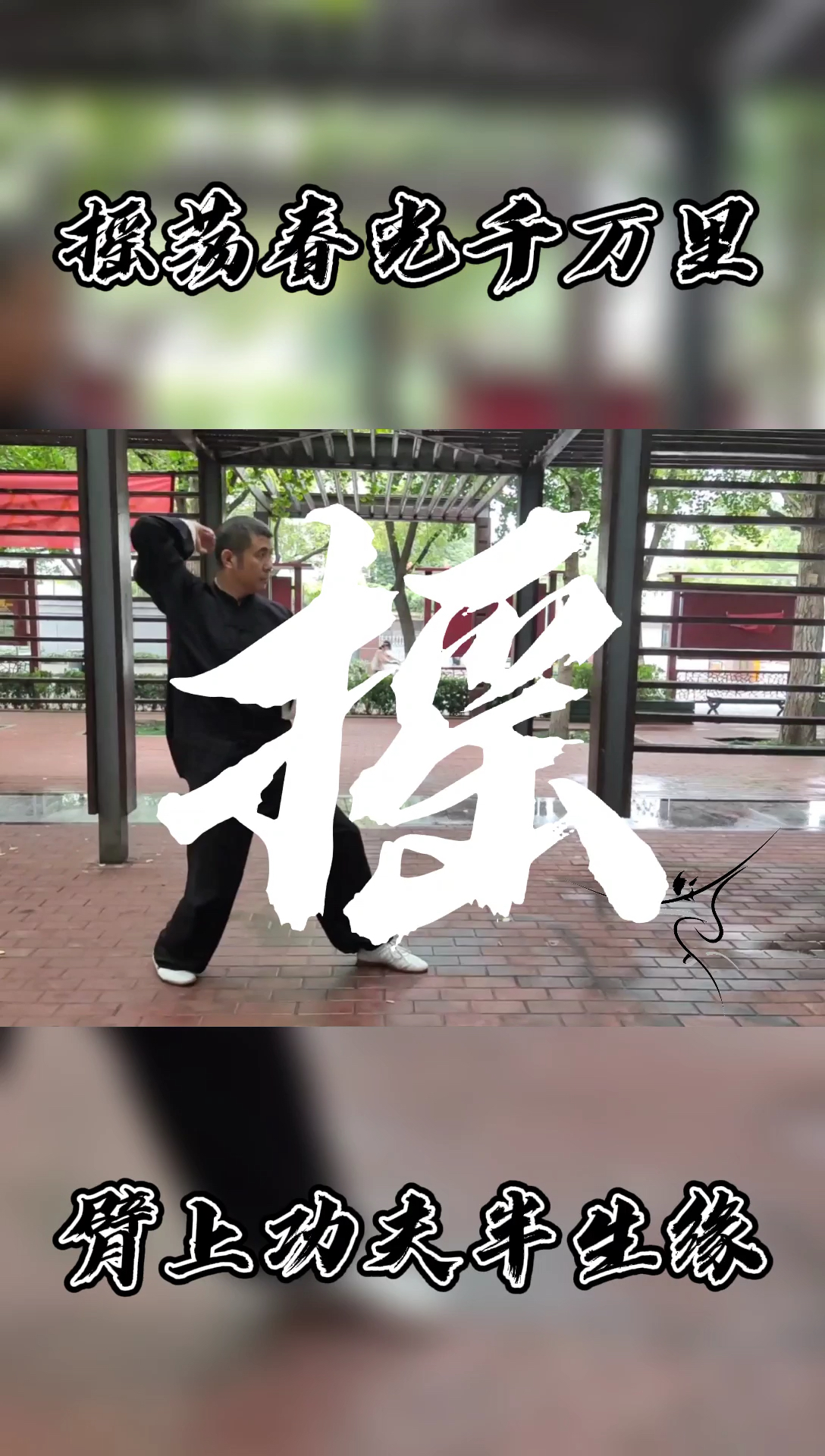 传统武术#白猿通背拳-摇臂(五)