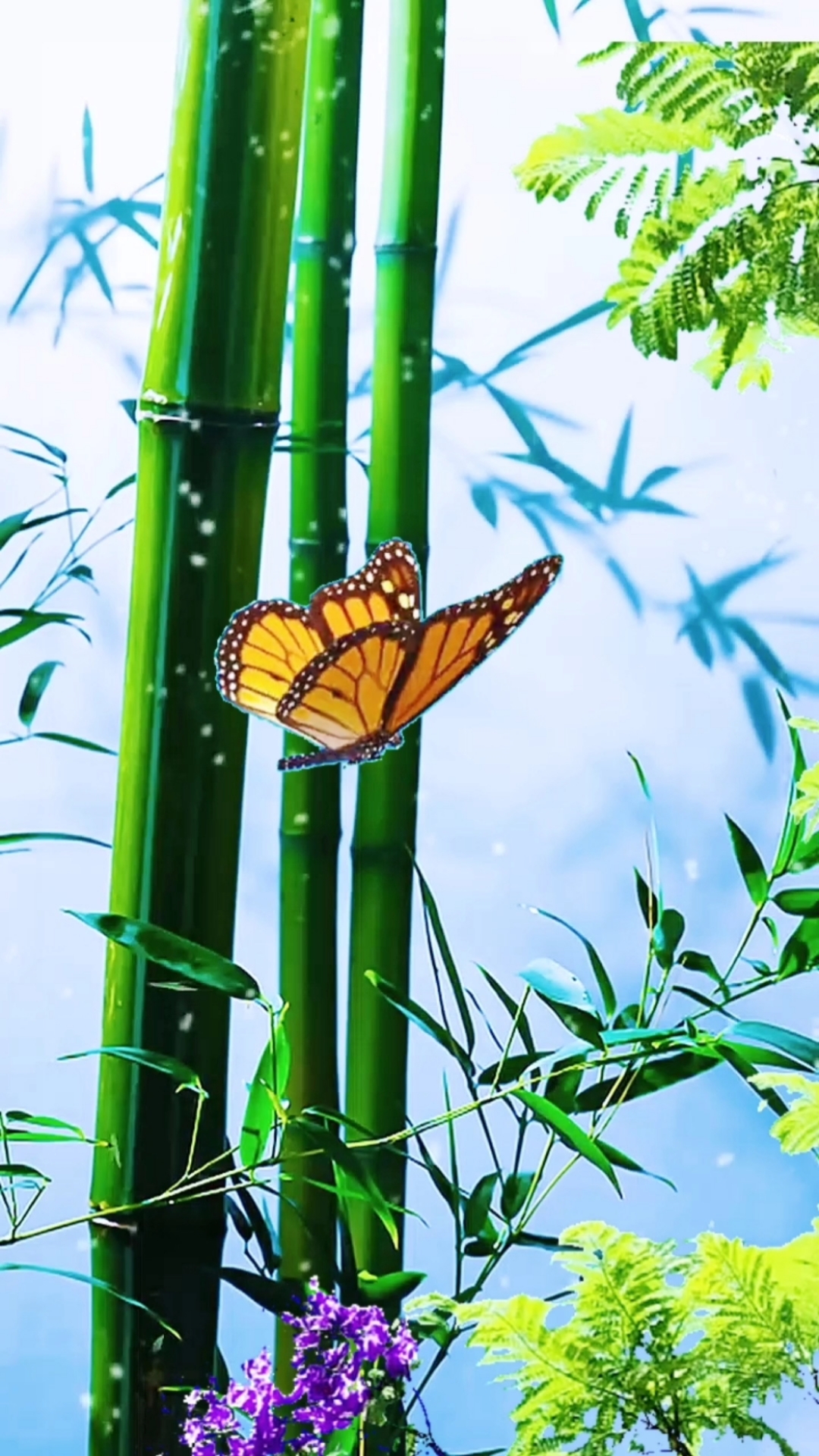 日本旅游美景#竹林仙境