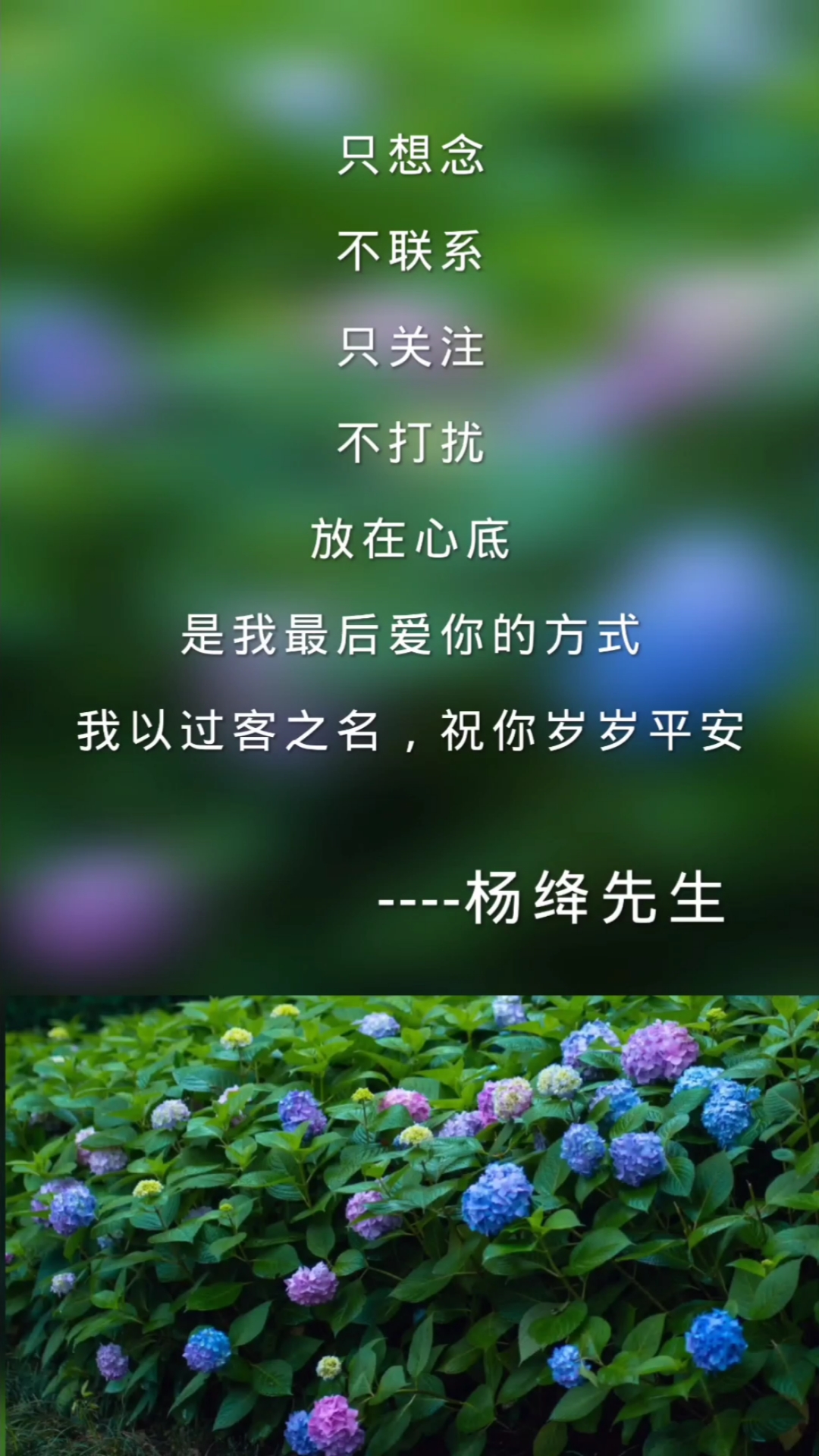 情感故事#不联系不打扰