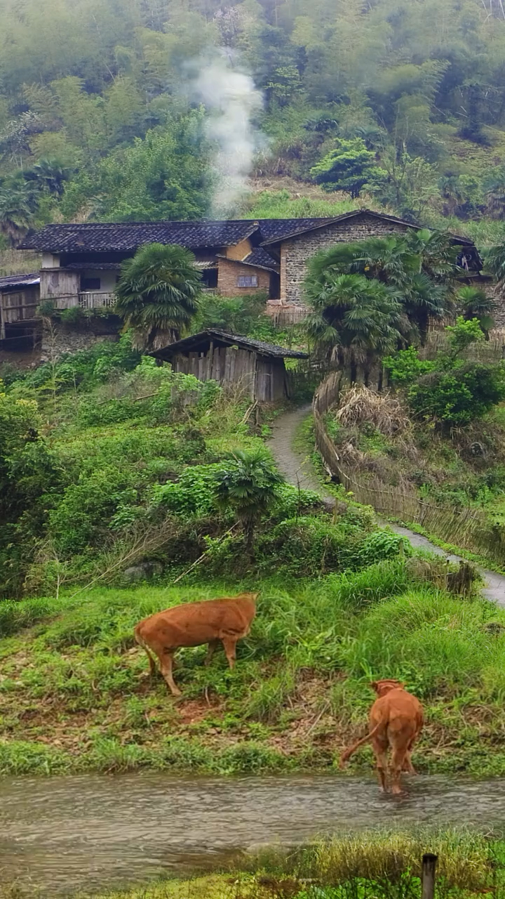 喜欢乡村和田园生活.我知道我发的这些视频很难上热门,但我还是会坚持