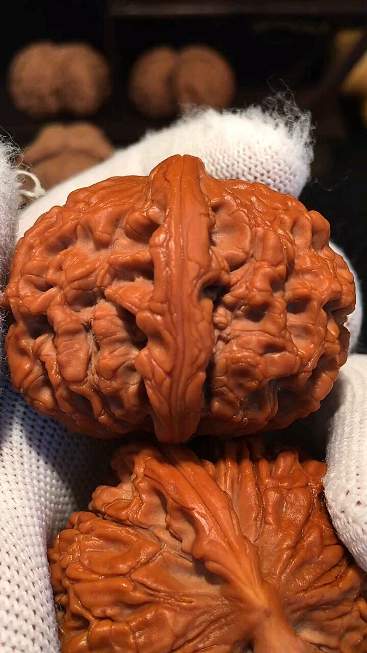 文玩核桃#水龙纹狮子头