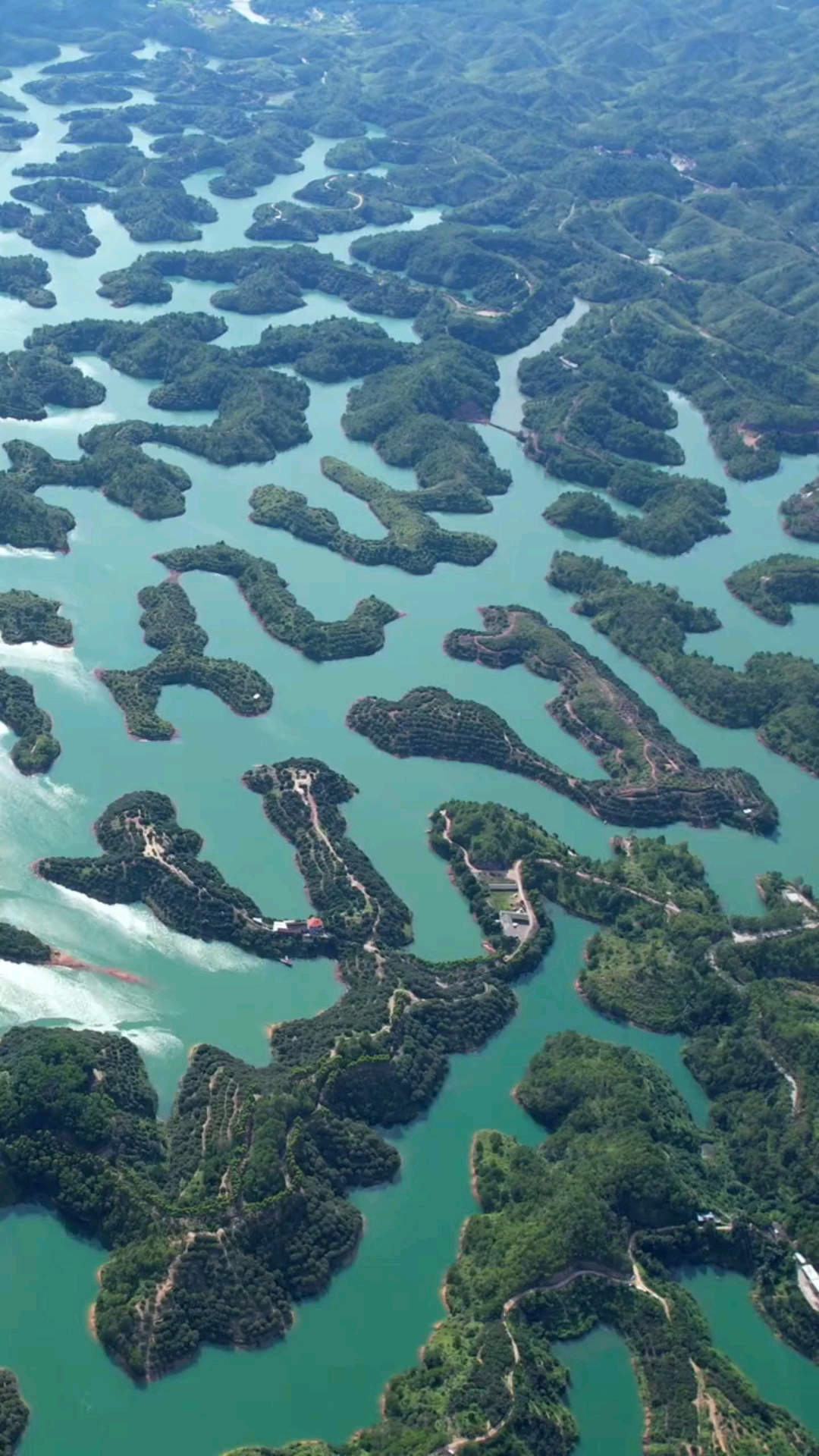 梅州:五华益塘水库,钓鱼人的天堂