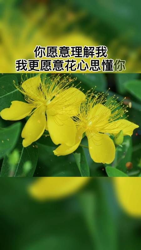 情感故事#爱是相互的,珍惜也是相互的,你心疼我,我更会心疼你,你砸忖