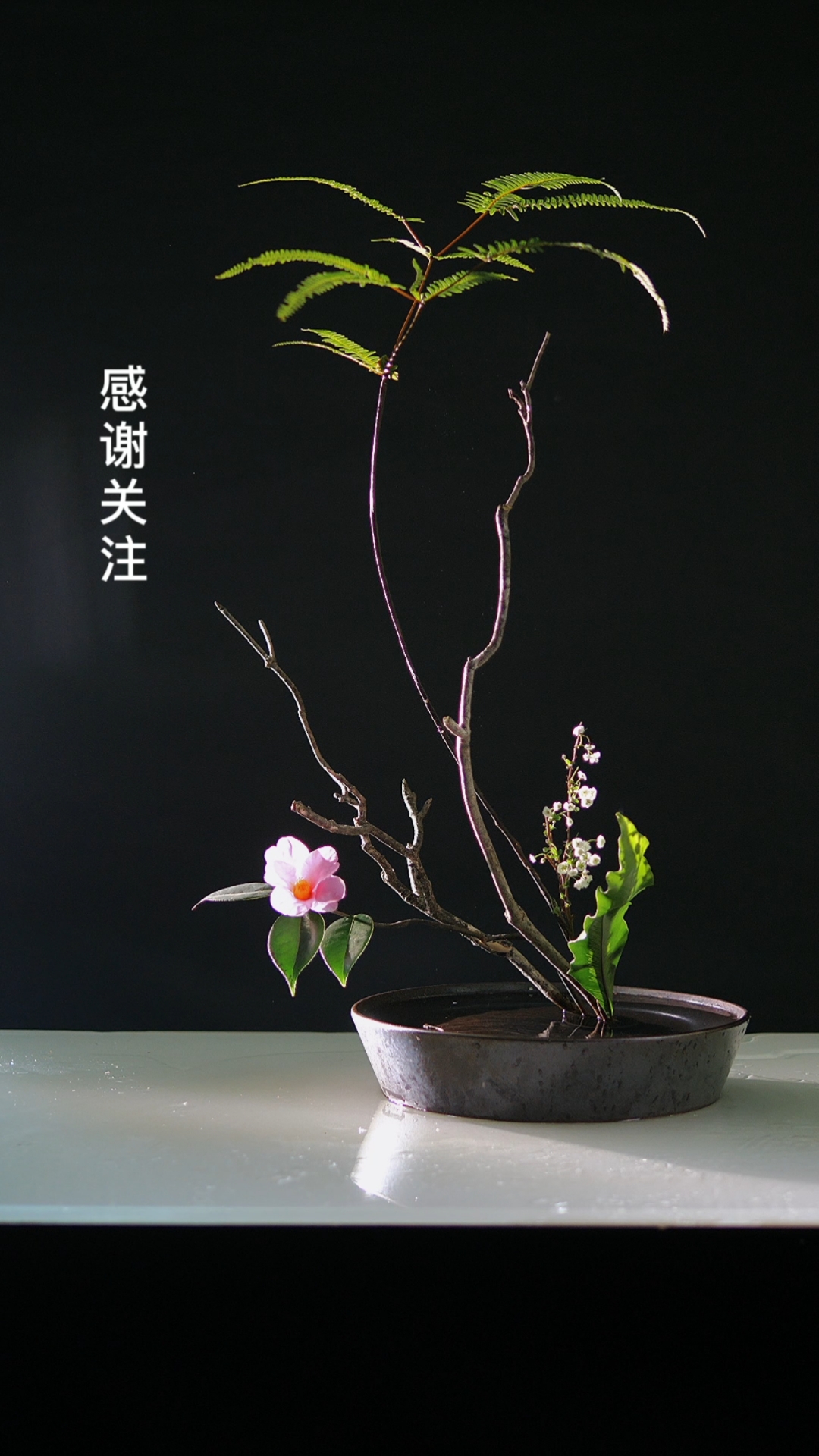 插花艺术#倪志翔老师课堂作品,三级师范木本直立静态插法-度小视