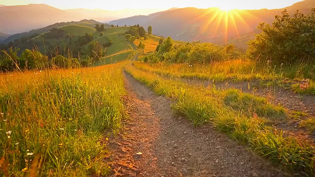 夕阳西下,你又想和谁漫步在乡村的田间小路呢.