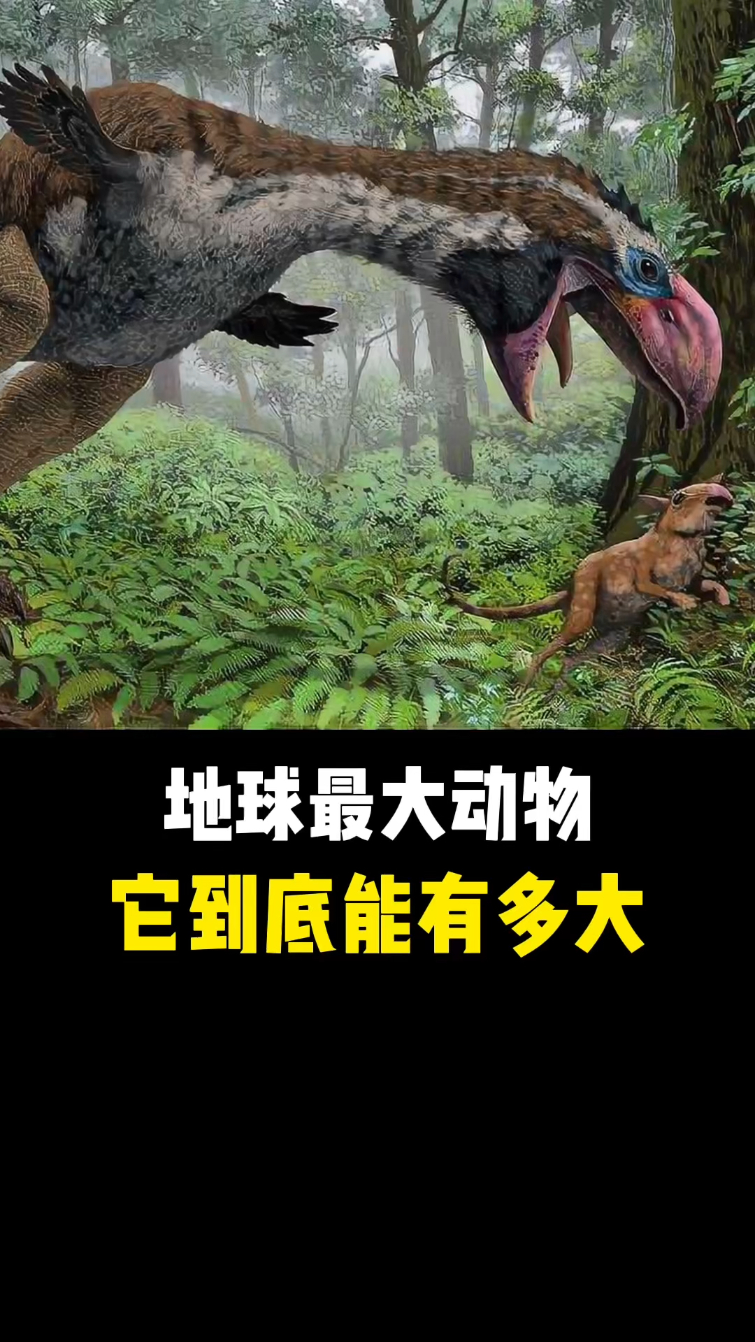 史前巨兽#地球上最大的动物,它们到底能有多大