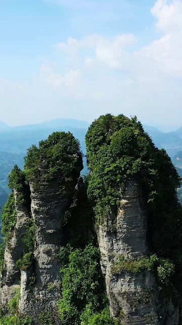 重庆南川轿子山