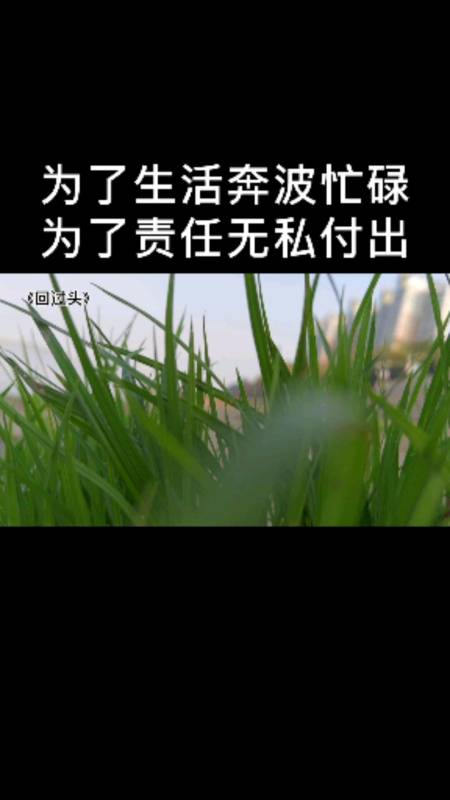 生活累不累自己去体会;人生苦不苦自己最清楚.