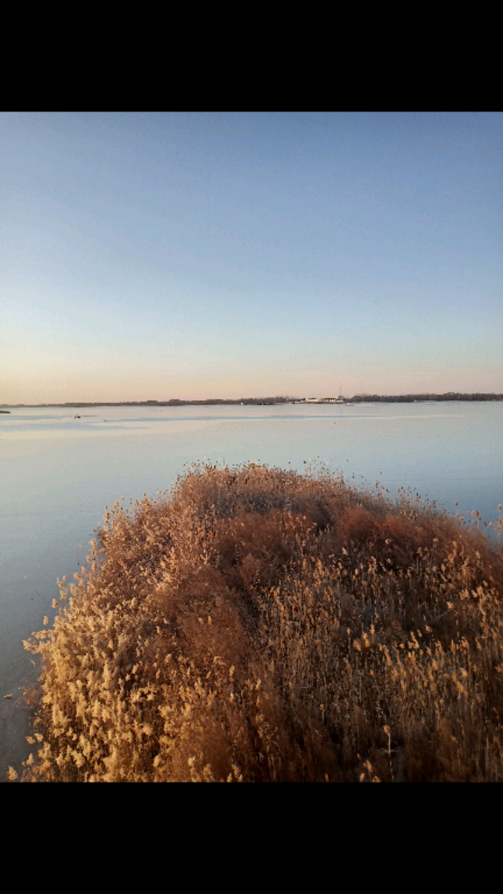 过好冬天#冬日夕阳阳下的衡水湖
