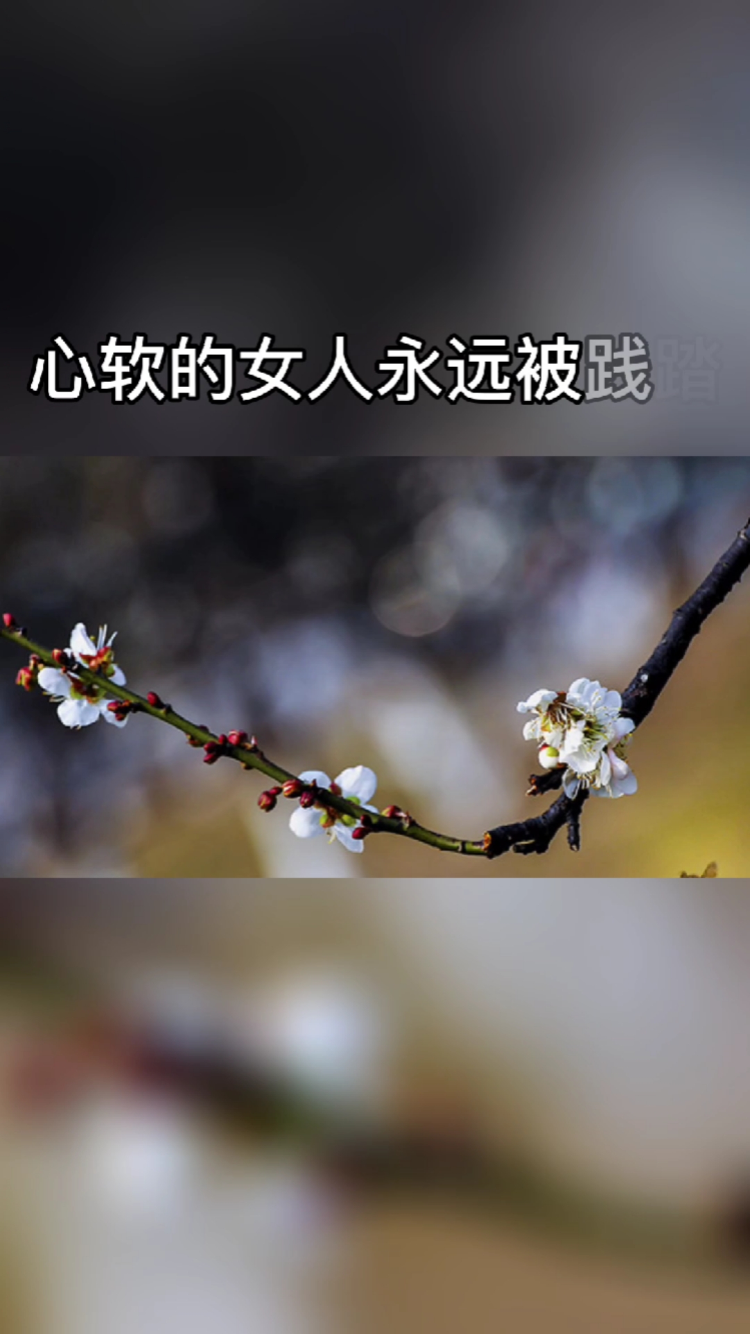风声水起,追爱的女人一事无成,心软的女人永远被践踏,心狠的女人永远