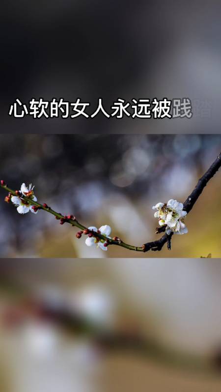 物质的女人,风声水起,追爱的女人一事无成,心软的女人永远被践踏,心狠