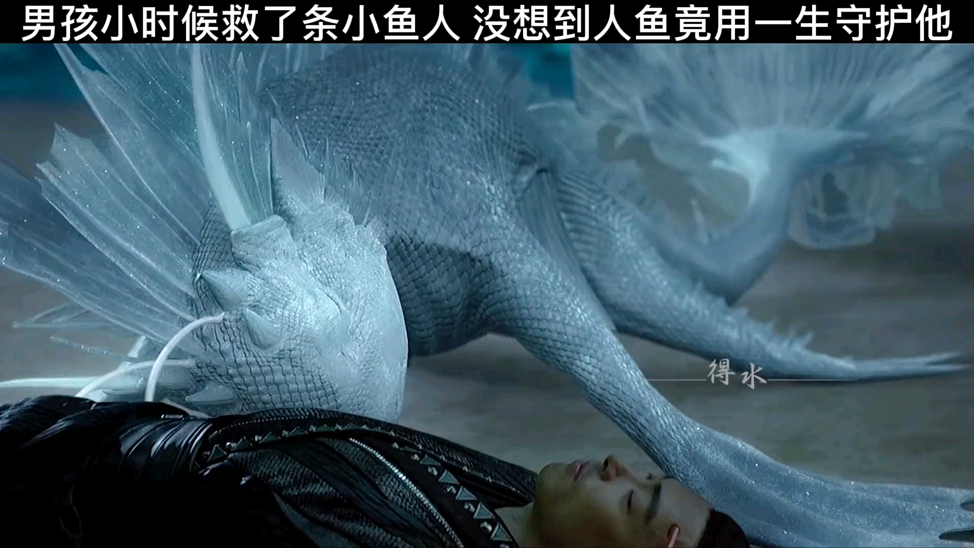 我见不得别人欺负你真是个钟情又护短的小人鱼