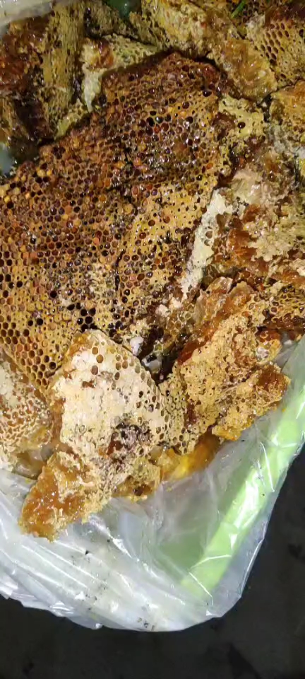 勤劳的小蜜蜂#正宗野蜜十多斤