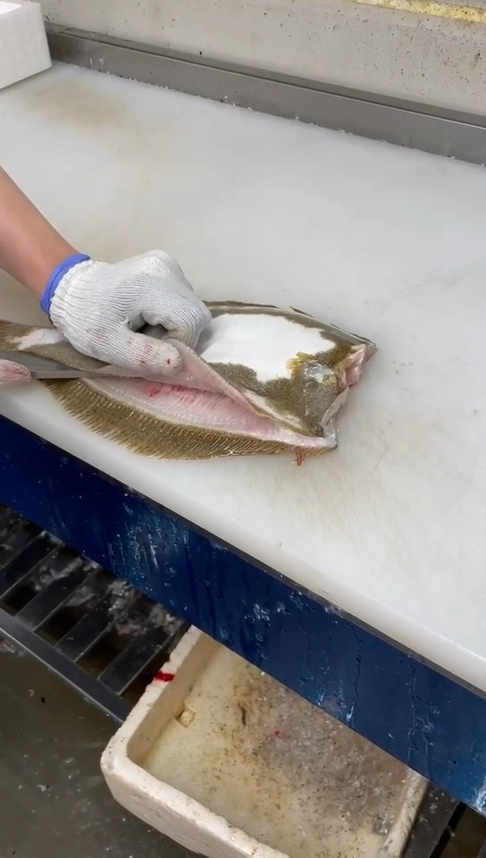 左口鱼分解左口鱼分解大家看看这个手法怎么样