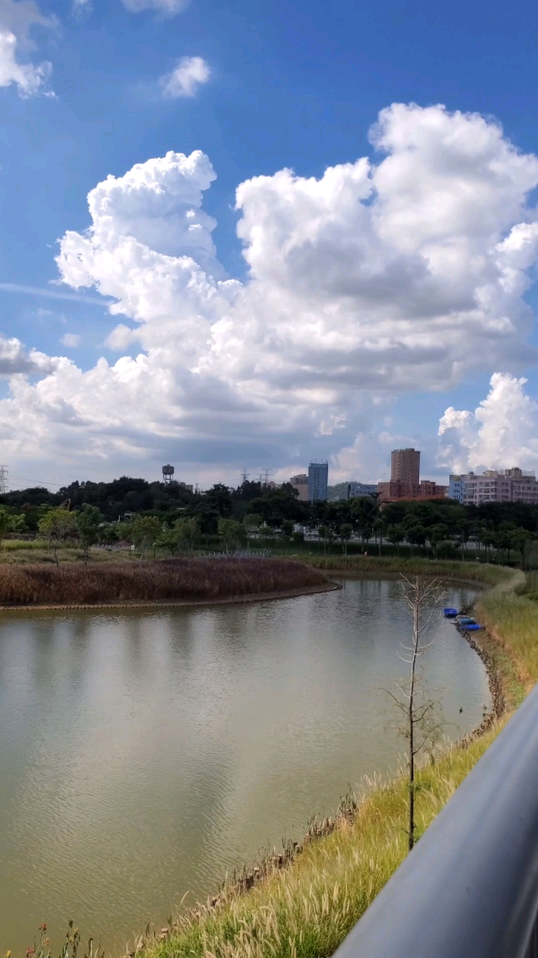 旅游进行时#打卡深圳第47期【宝安石岩系列】石岩湿地公园,美景使过