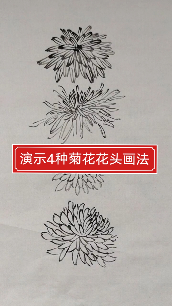 画画原来如此简单国画教程菊花花头的不同姿态如何画菊花