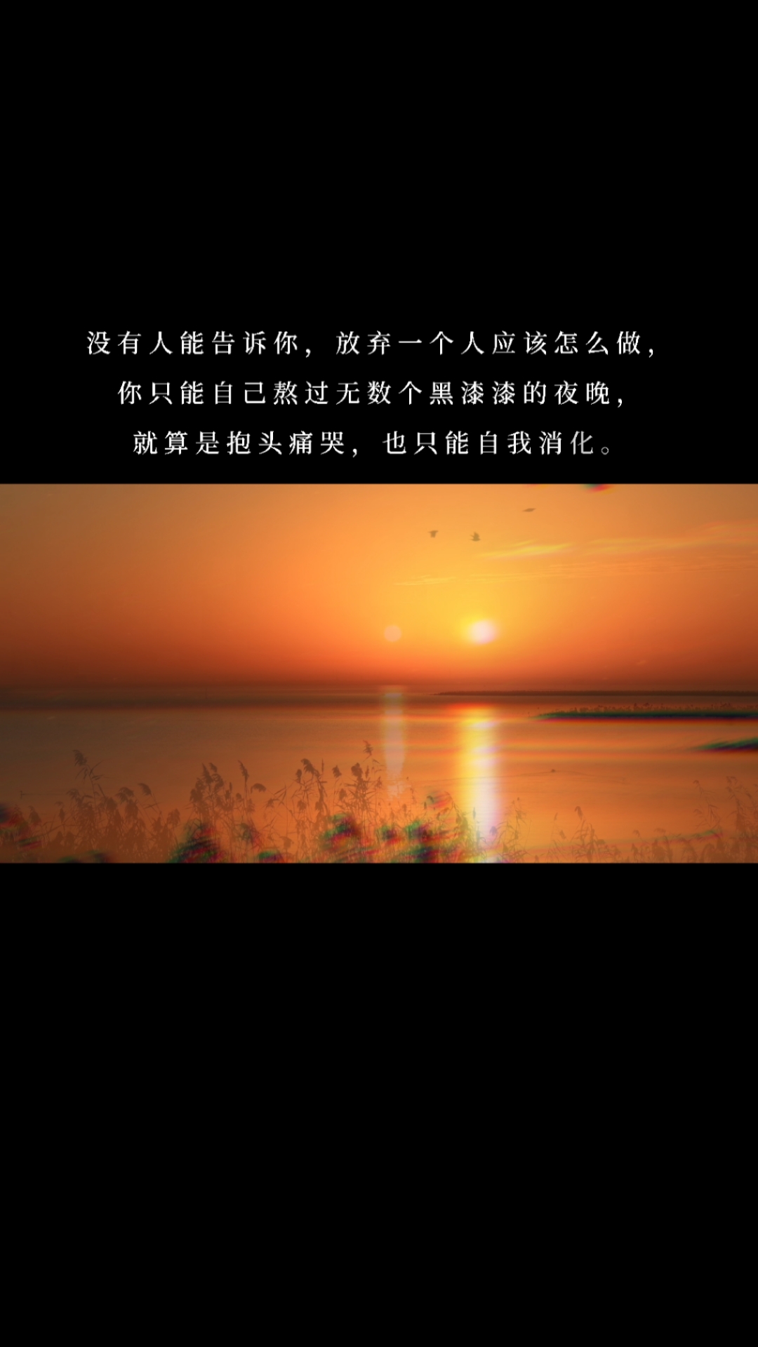 度小视文案没有人能告诉你放弃一个人应该怎么做你只能自己熬过无数个