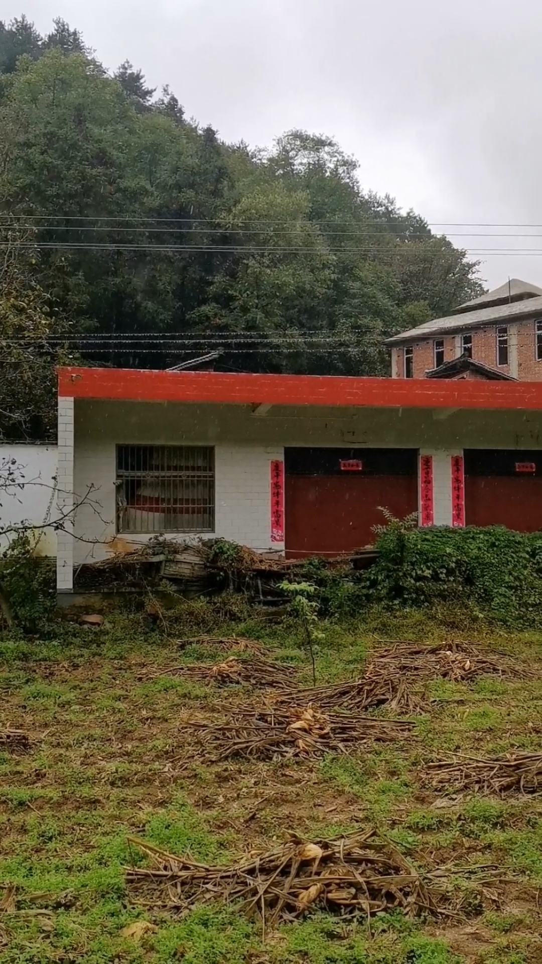 农村自建房#村上唯一的平房子没人住,门口杂草丛生