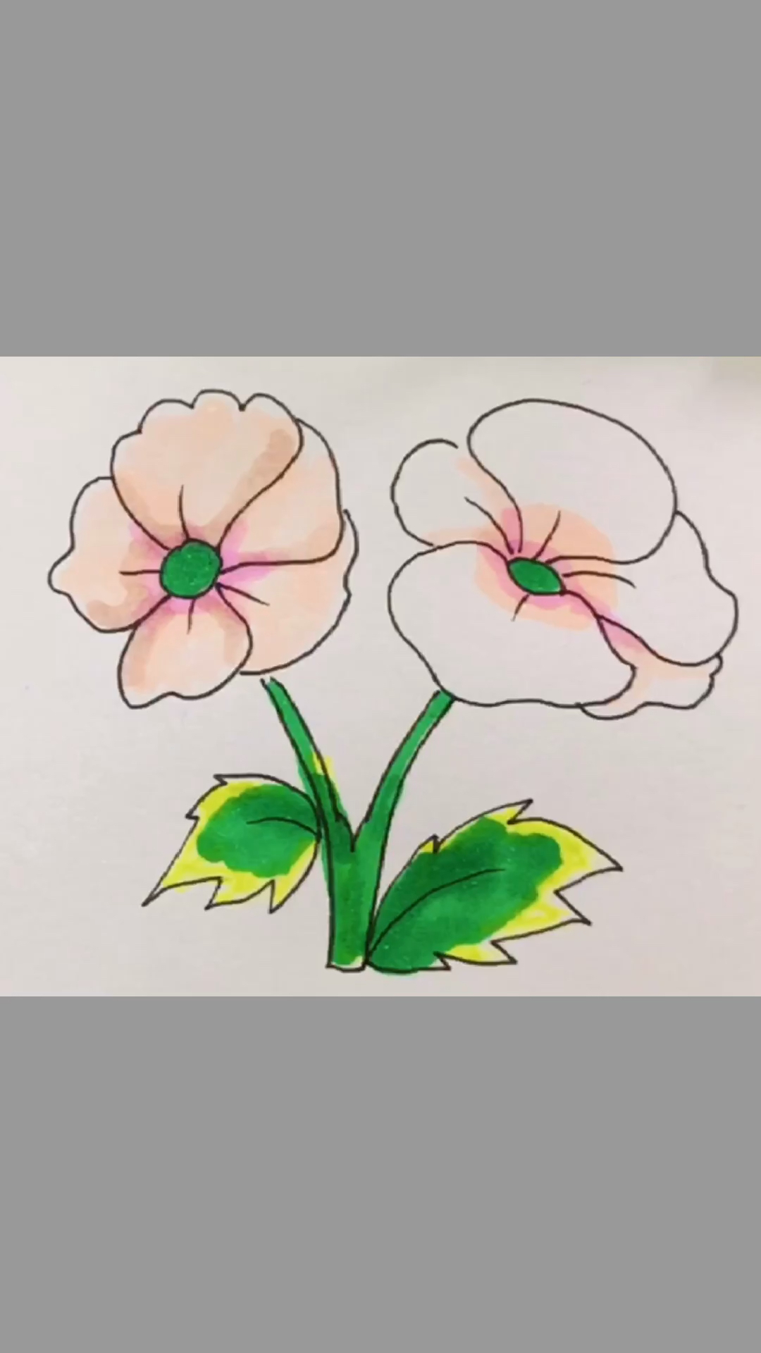 小花朵简笔画启蒙好看的天竺葵