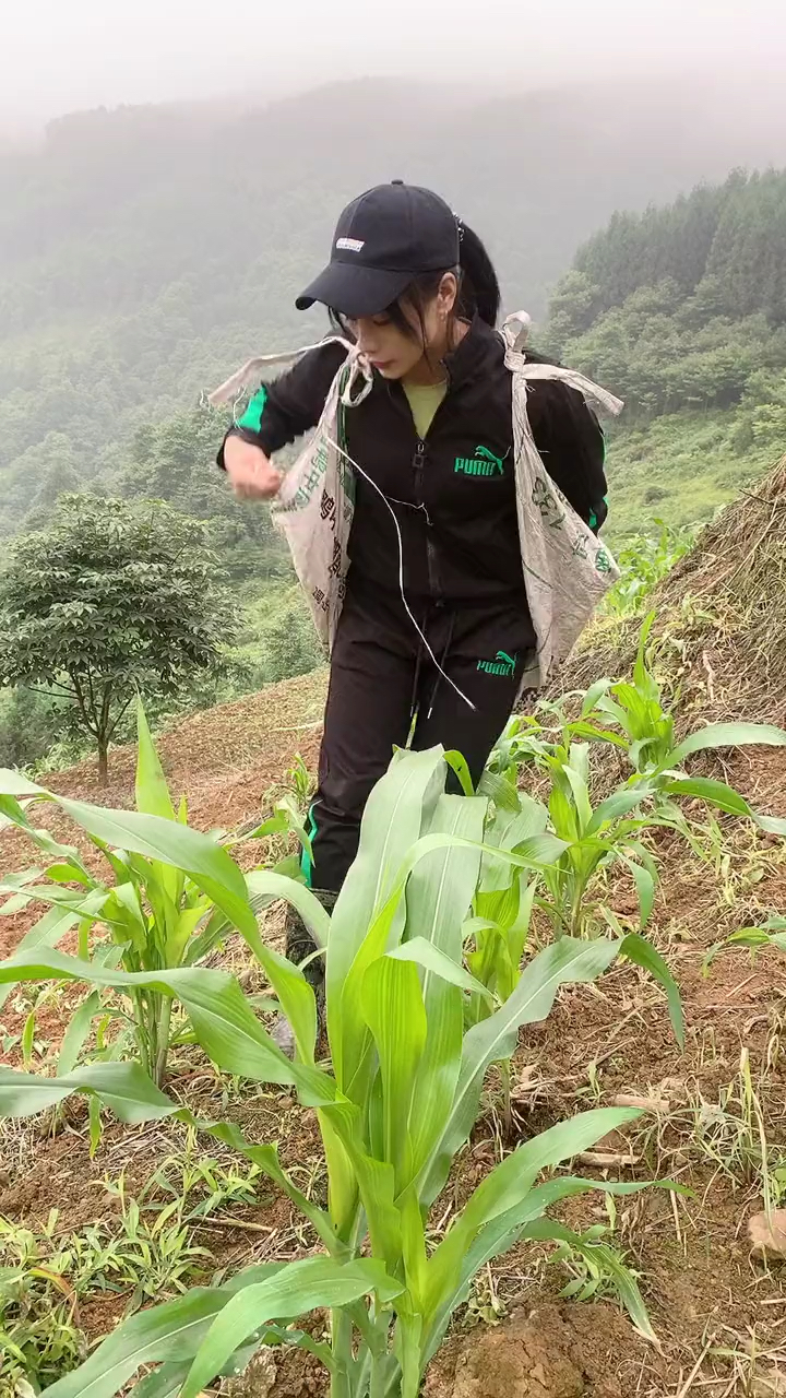 小凉山俄沐媚在分享了视频