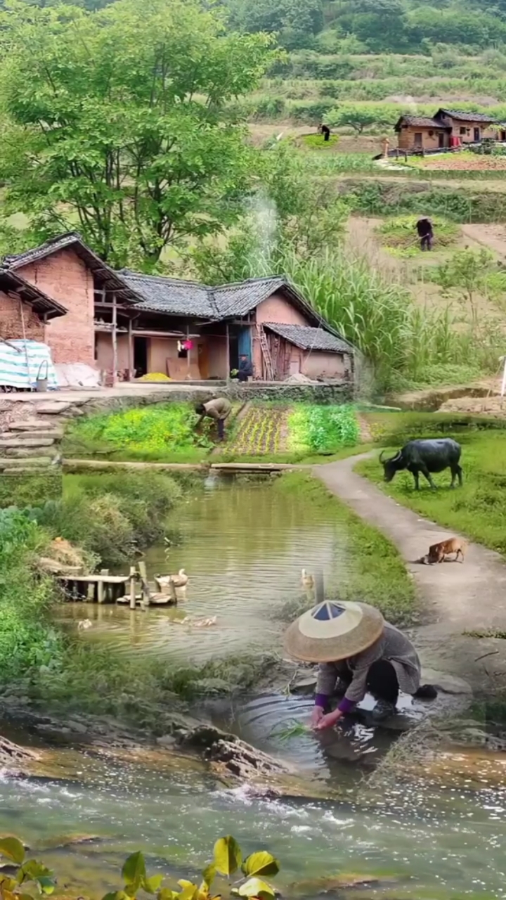 乡村生活#大山里的生活,闻闻泥土的芬芳听听鸟鸣呼吸新鲜空气,简涤种