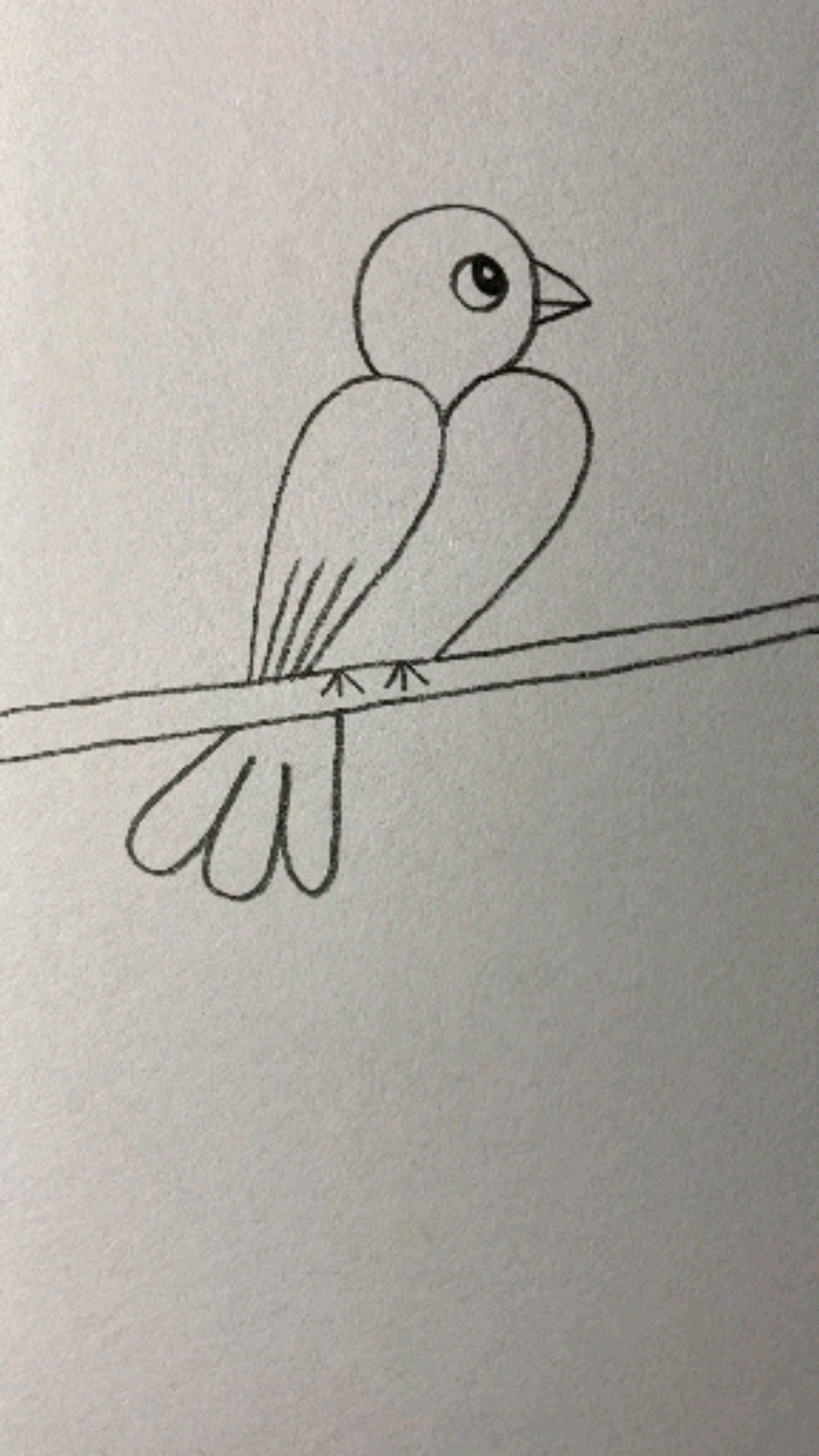 画站在枝头的小鸟