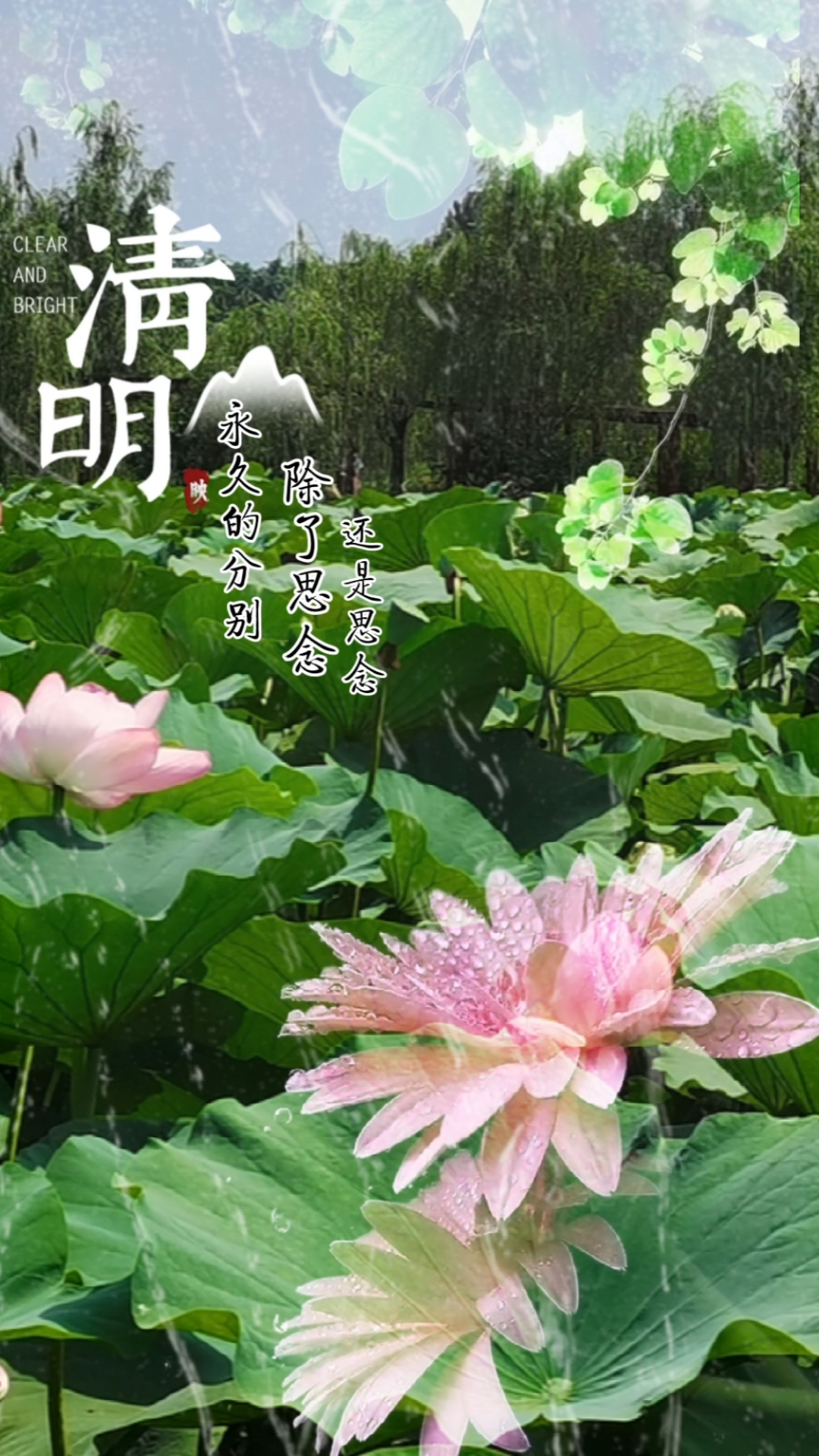 清明节.#永久的分别,除了思念还是思念…愿天堂的亲人一切安好