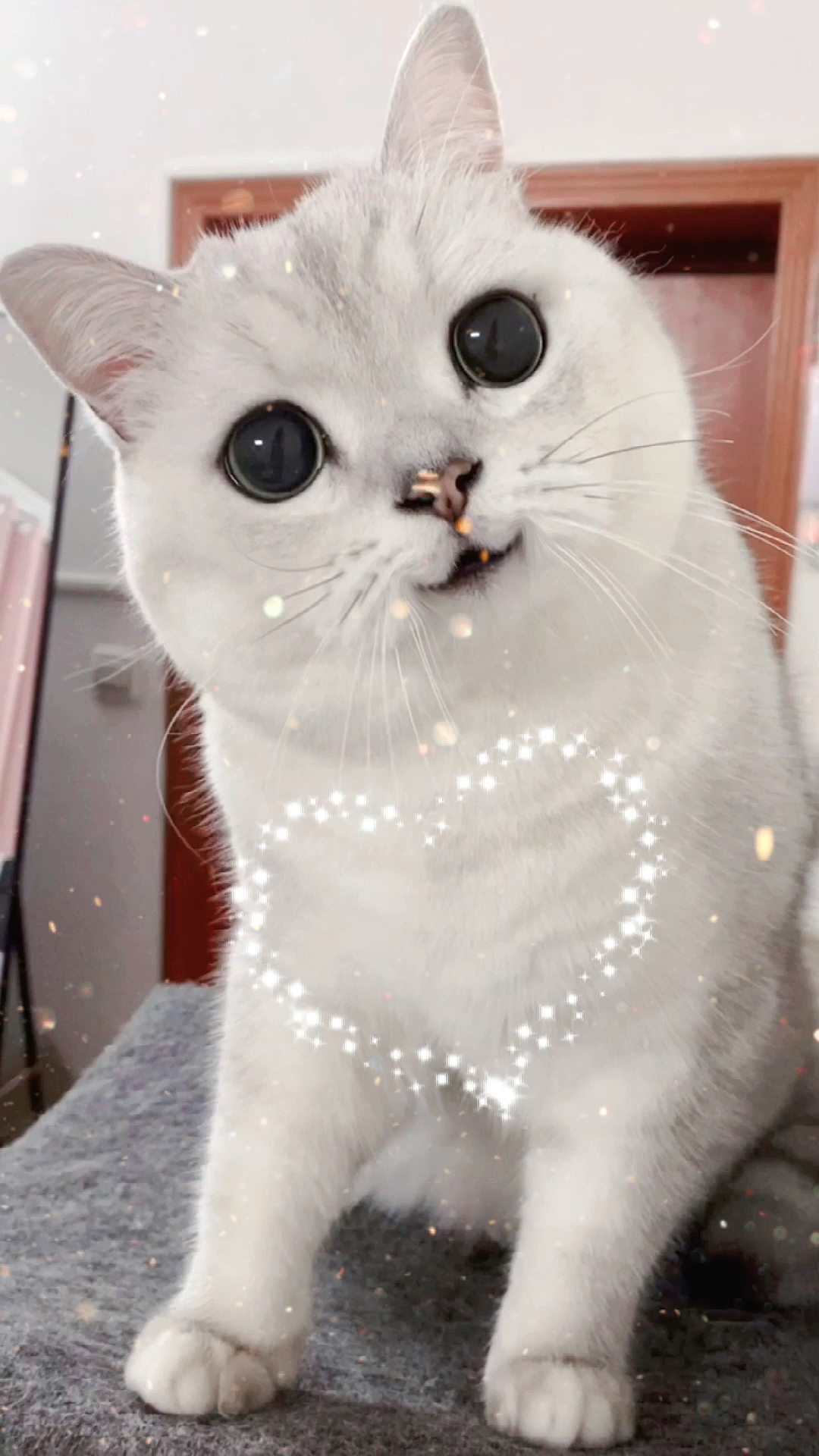 我要上热门#你们喜欢笑起来的大圆子吗06-度小视