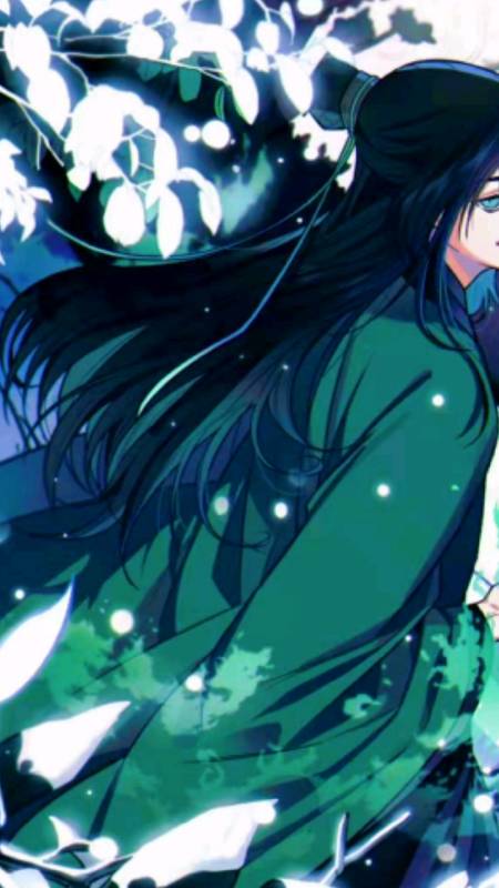 天官赐福#血雨探花,黑水沉舟,白衣祸世,青灯夜游.