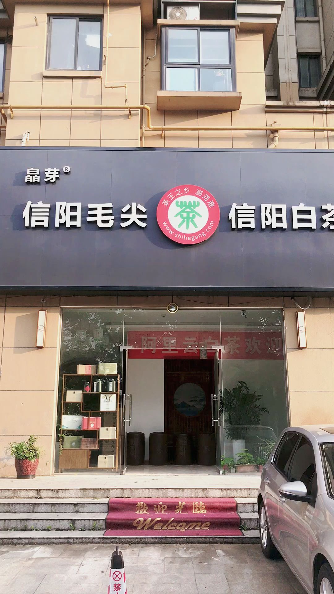 "趁当下,寻得一款好茶,自存自饮."#信阳白茶#信阳毛尖#白茶