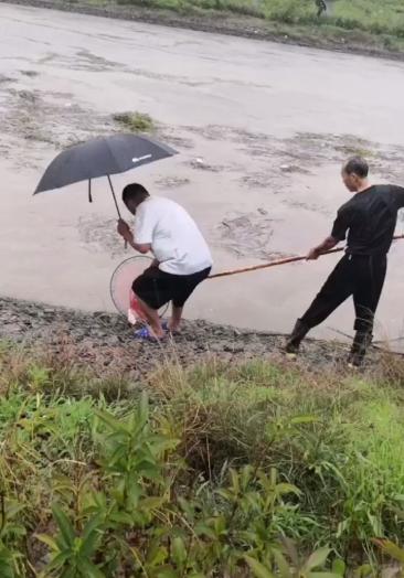 记录我的农村生活#雨天河边捕鱼二十来分钟逮近十条鱼浑水摸鱼小洪河