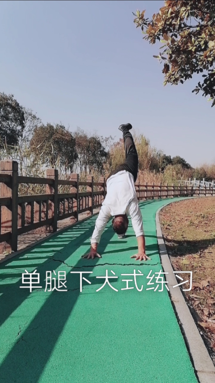 健身宁教练传递健身正能量#单腿下犬式练习