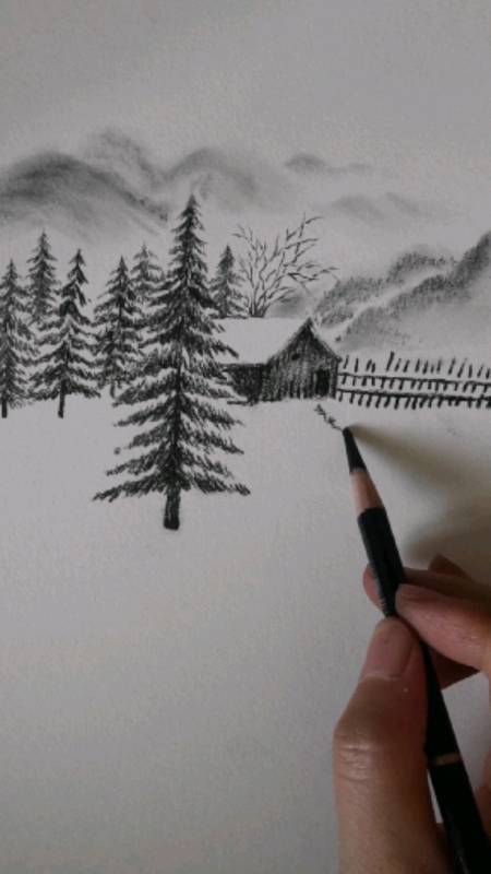 松树的画法 铅笔画图片