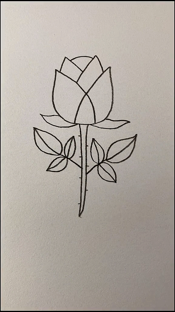 简笔画#教你用两个y画玫瑰花