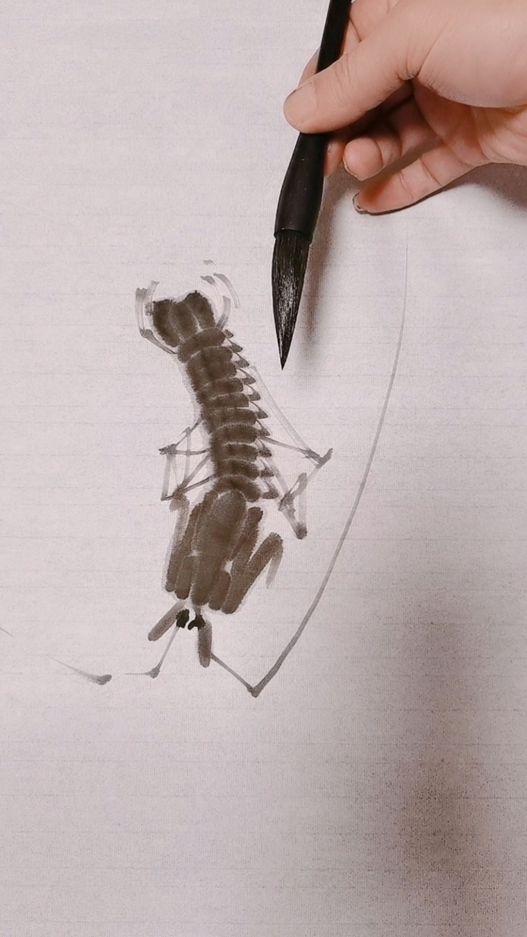 我要上热门#皮皮虾画法仔细看