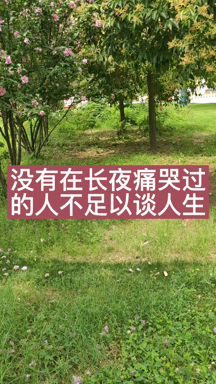 人生感悟没有在长夜痛哭过的人不足谈人生