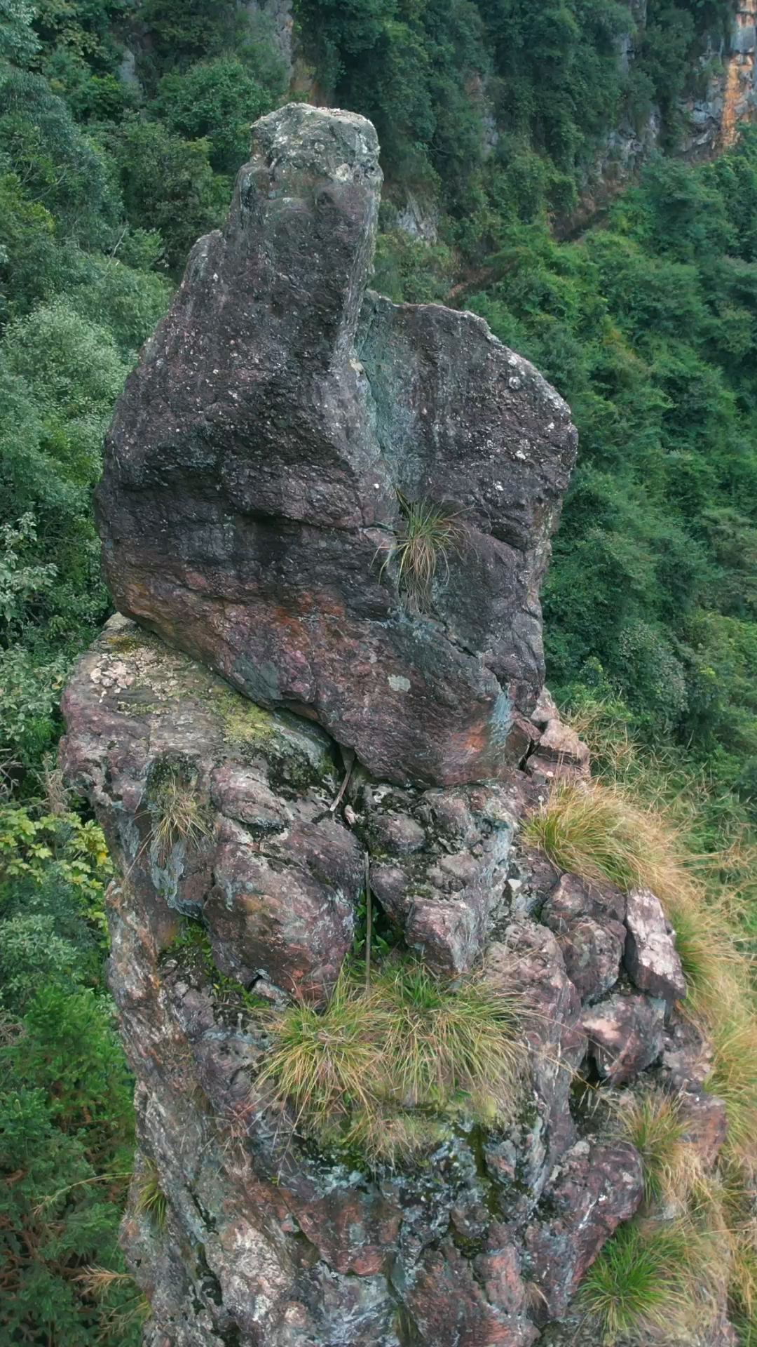大山里面的奇石,大自然的鬼斧神工,看了半天就是看不出来这石头到底像
